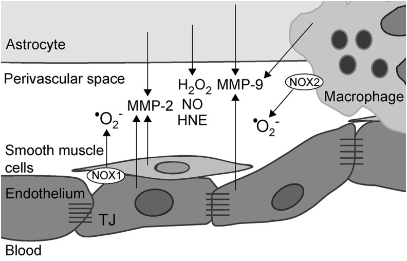 FIG. 7.