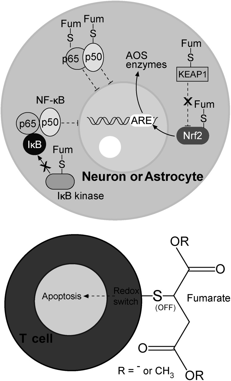 FIG. 18.