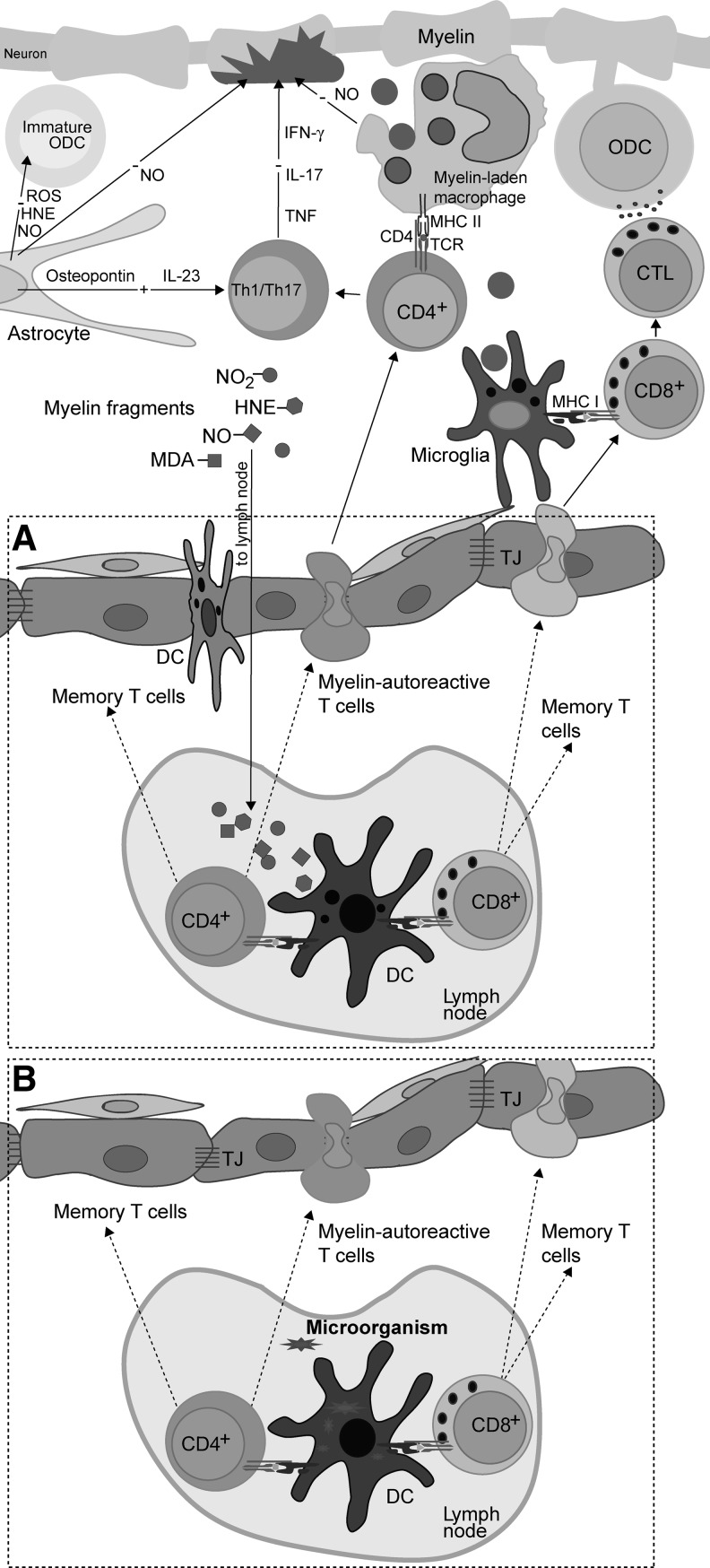 FIG. 9.