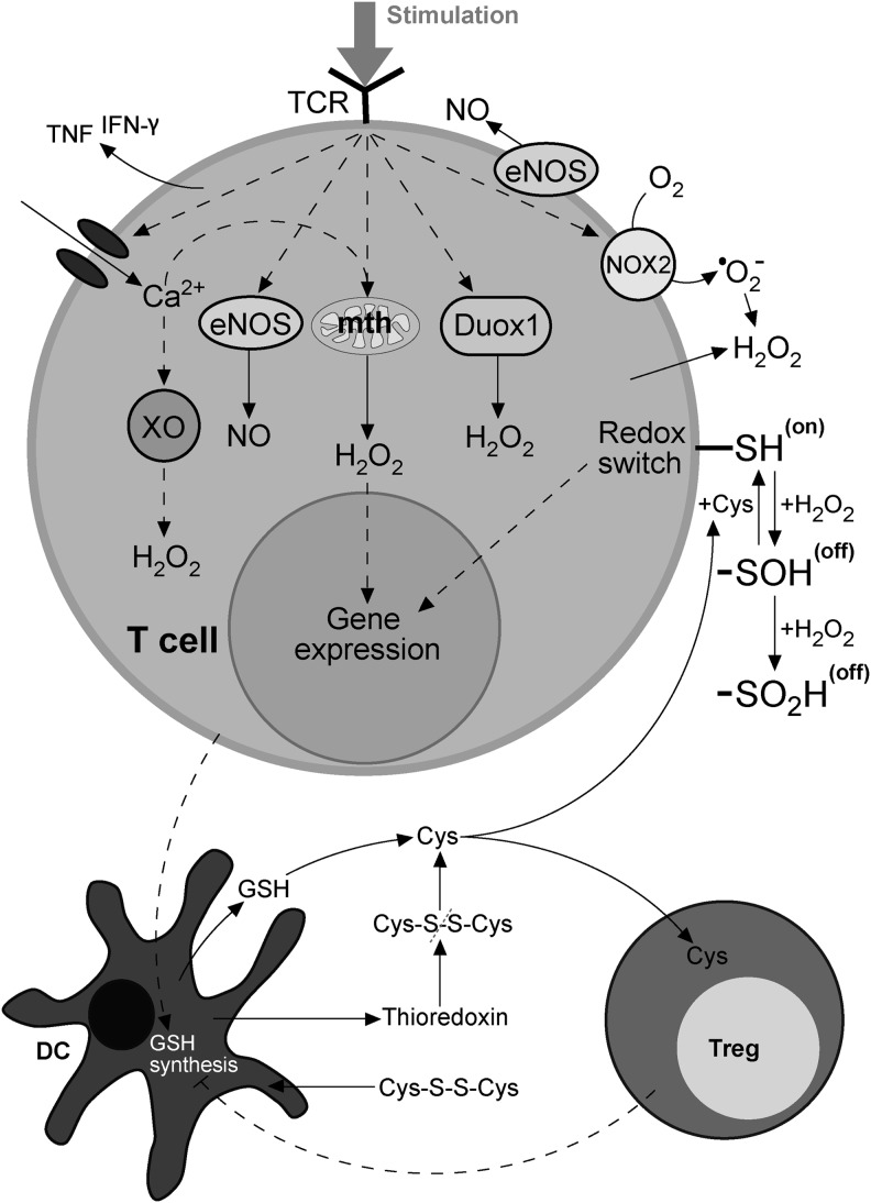 FIG. 13.