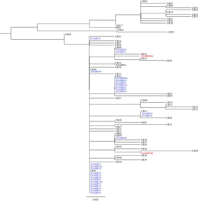 Figure 3.