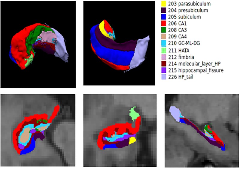 FIGURE 1