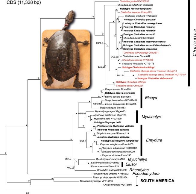 Figure 2