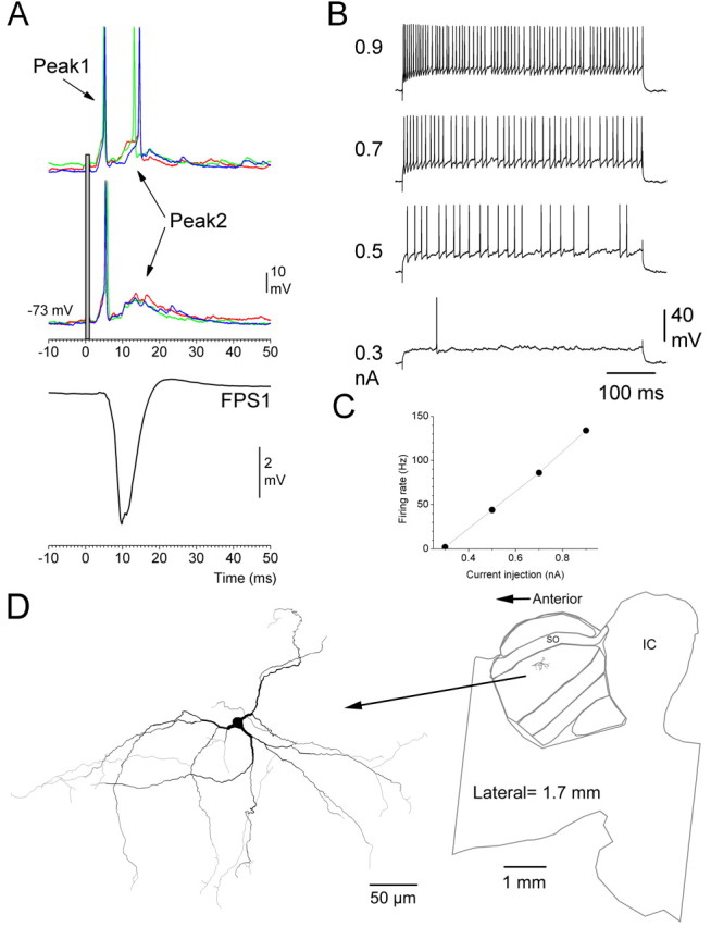 Figure 5.