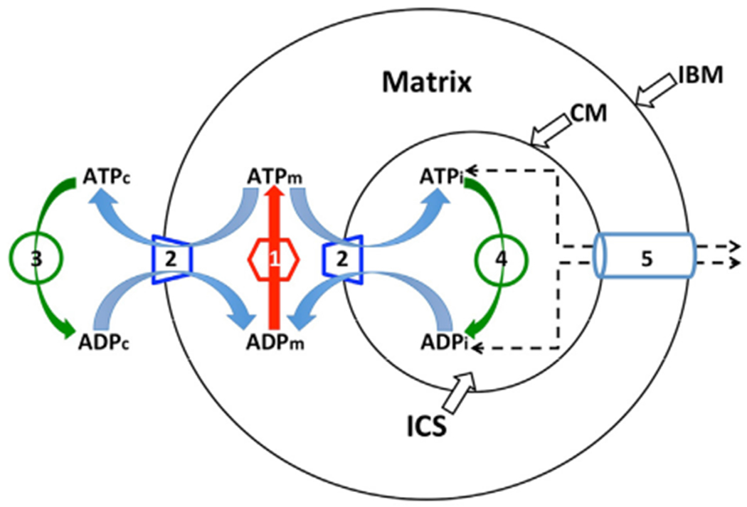 Fig. 2.