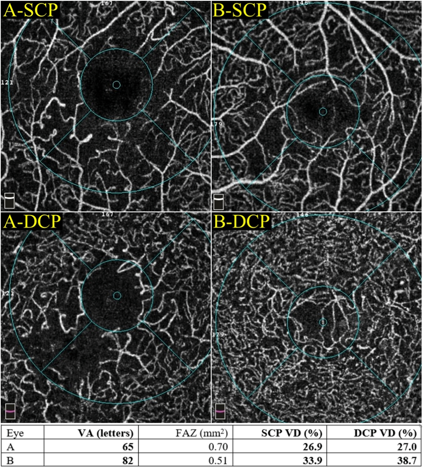 Fig. 9.