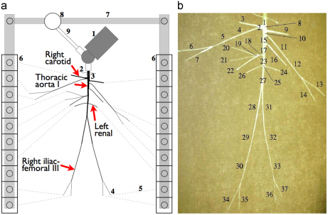 Fig. 1