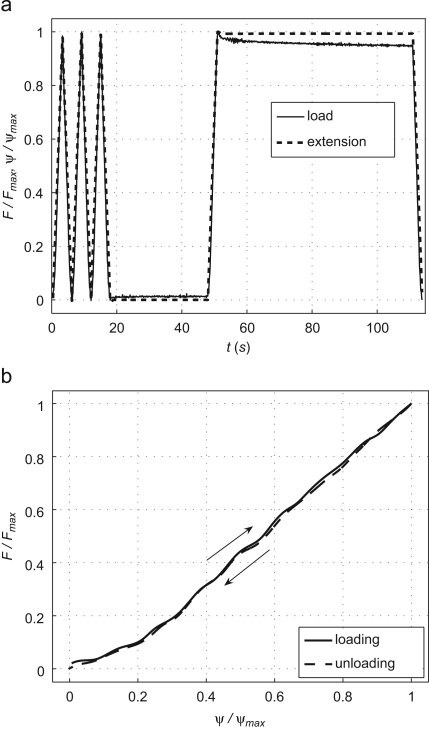 Fig. 2