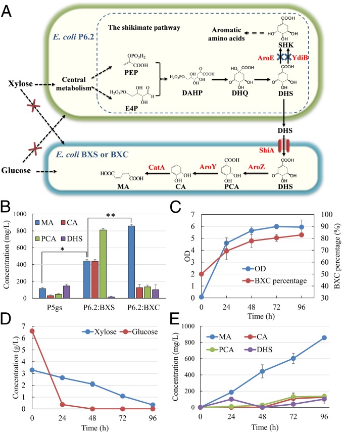 Fig. 2.