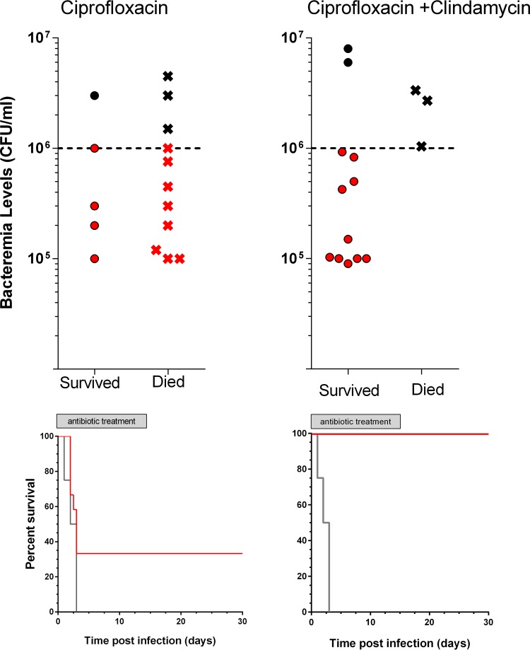 FIG 3