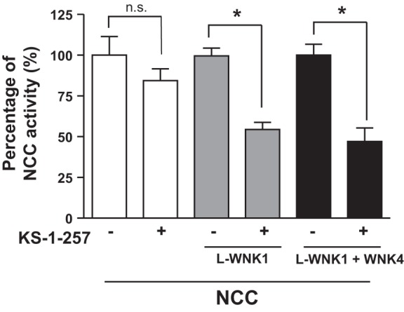 Fig. 8.