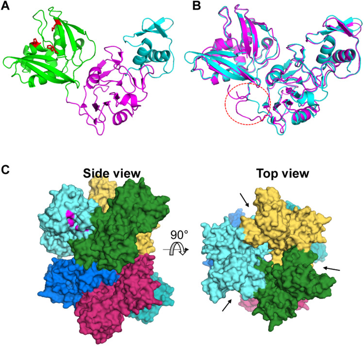 Fig. 3