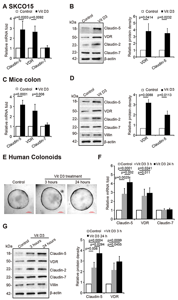 Fig 6.