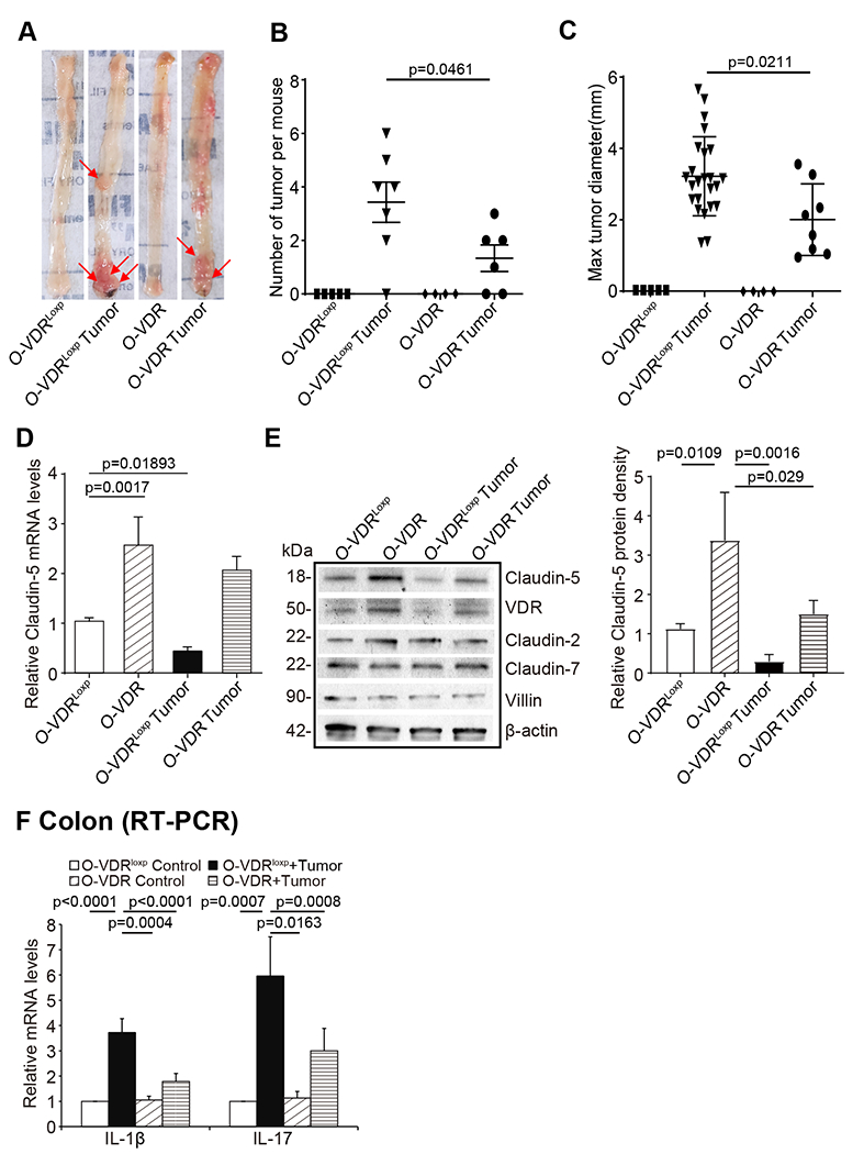 Fig 8.