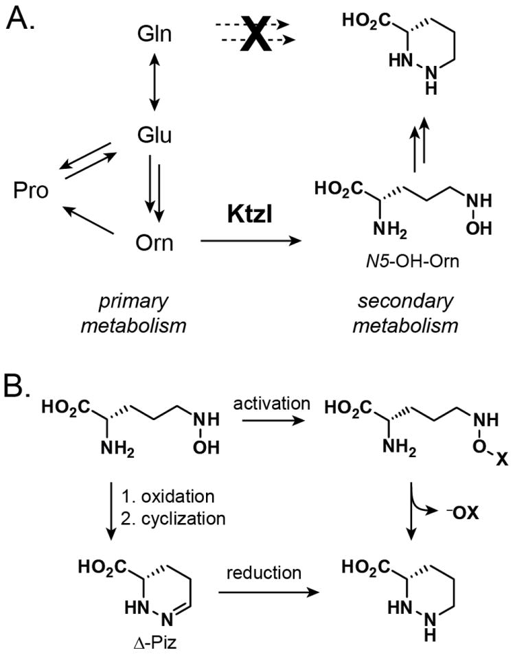 Scheme 2