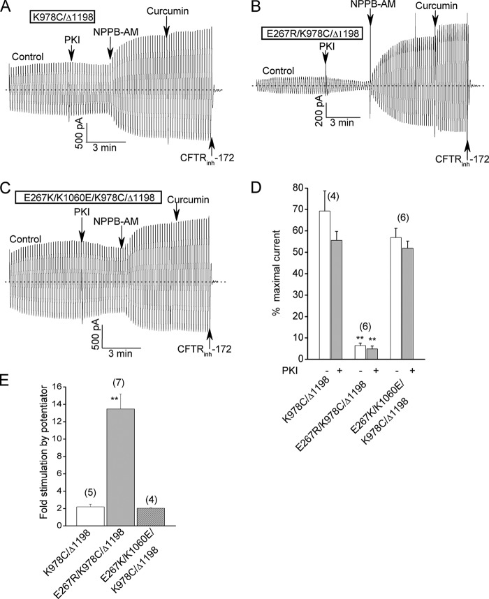 FIGURE 7.