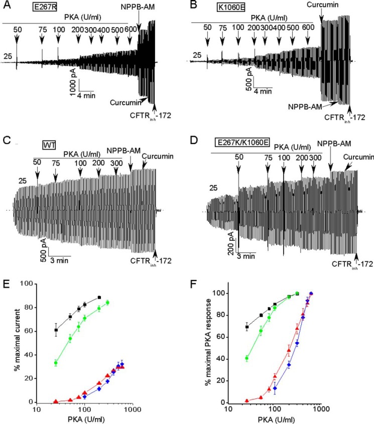 FIGURE 9.