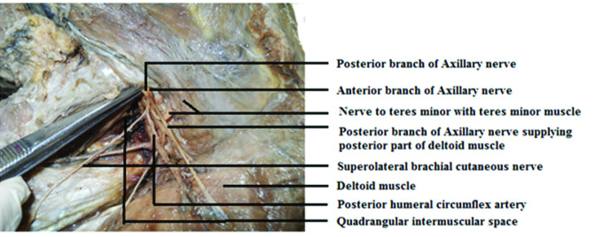 [Table/Fig-3]: