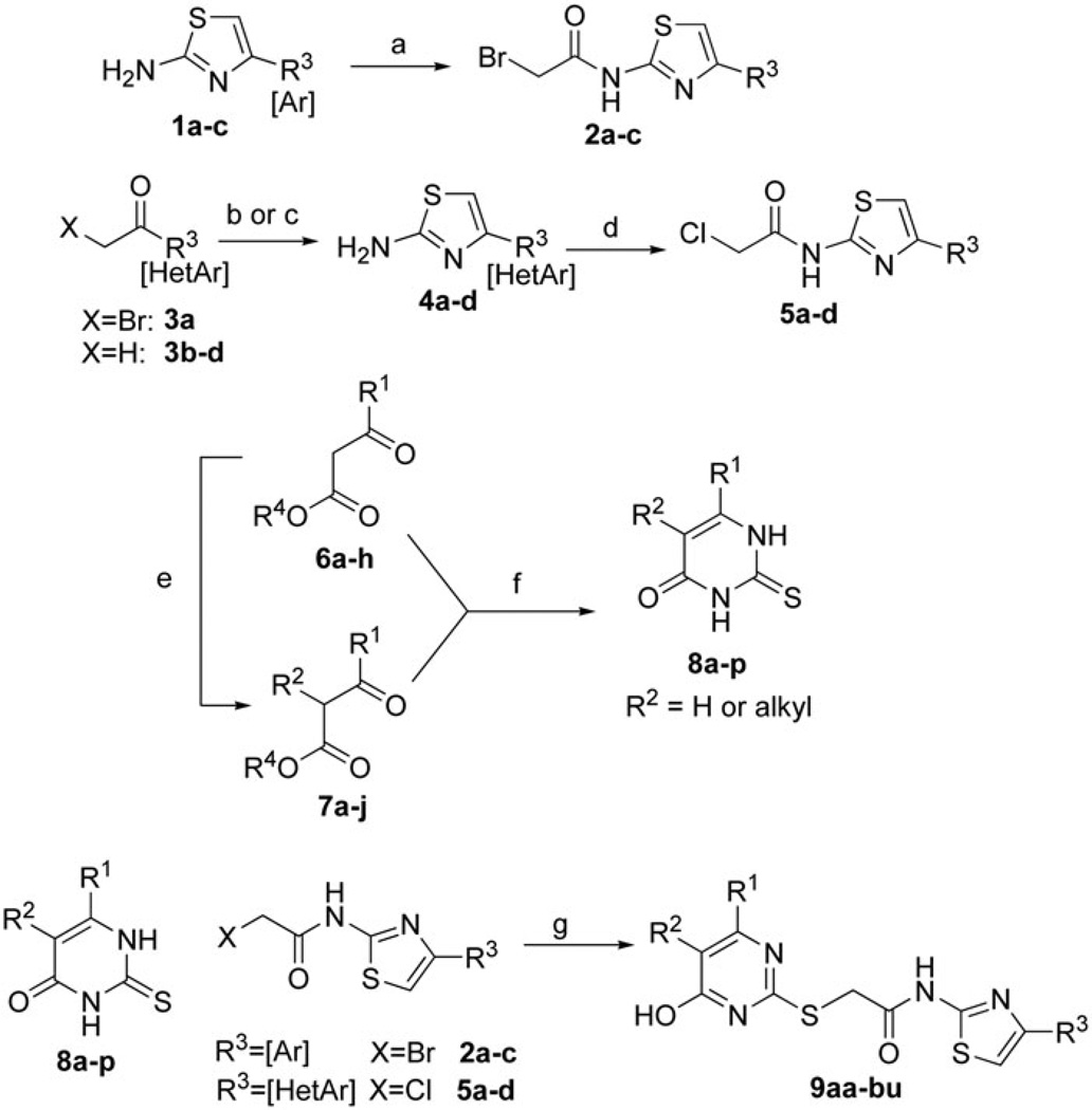 Scheme 1