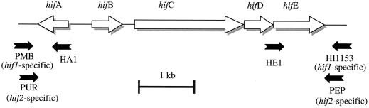 FIG. 1