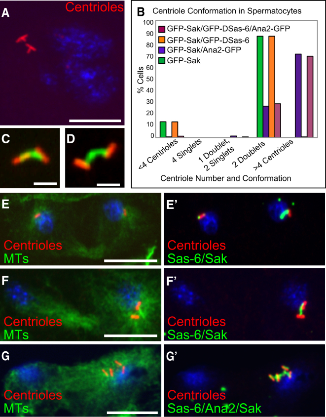 Figure 4