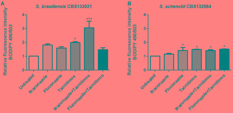 FIGURE 3