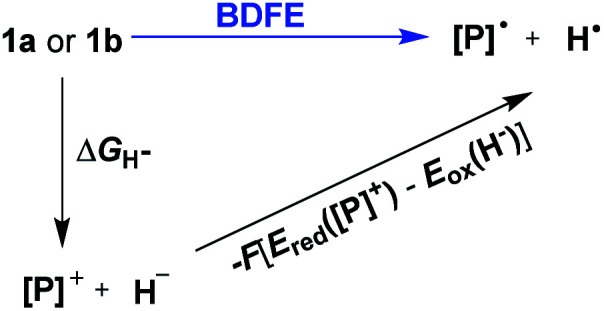 Scheme 5