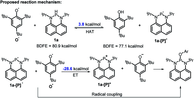 Scheme 6