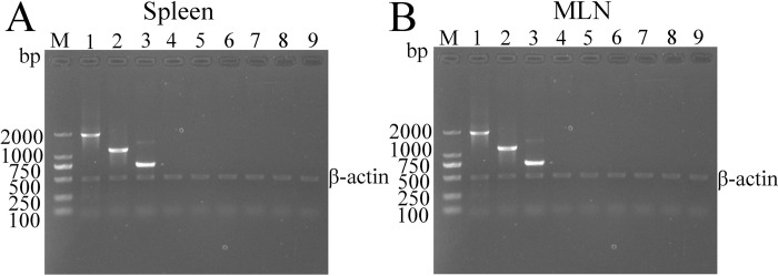 Fig 5