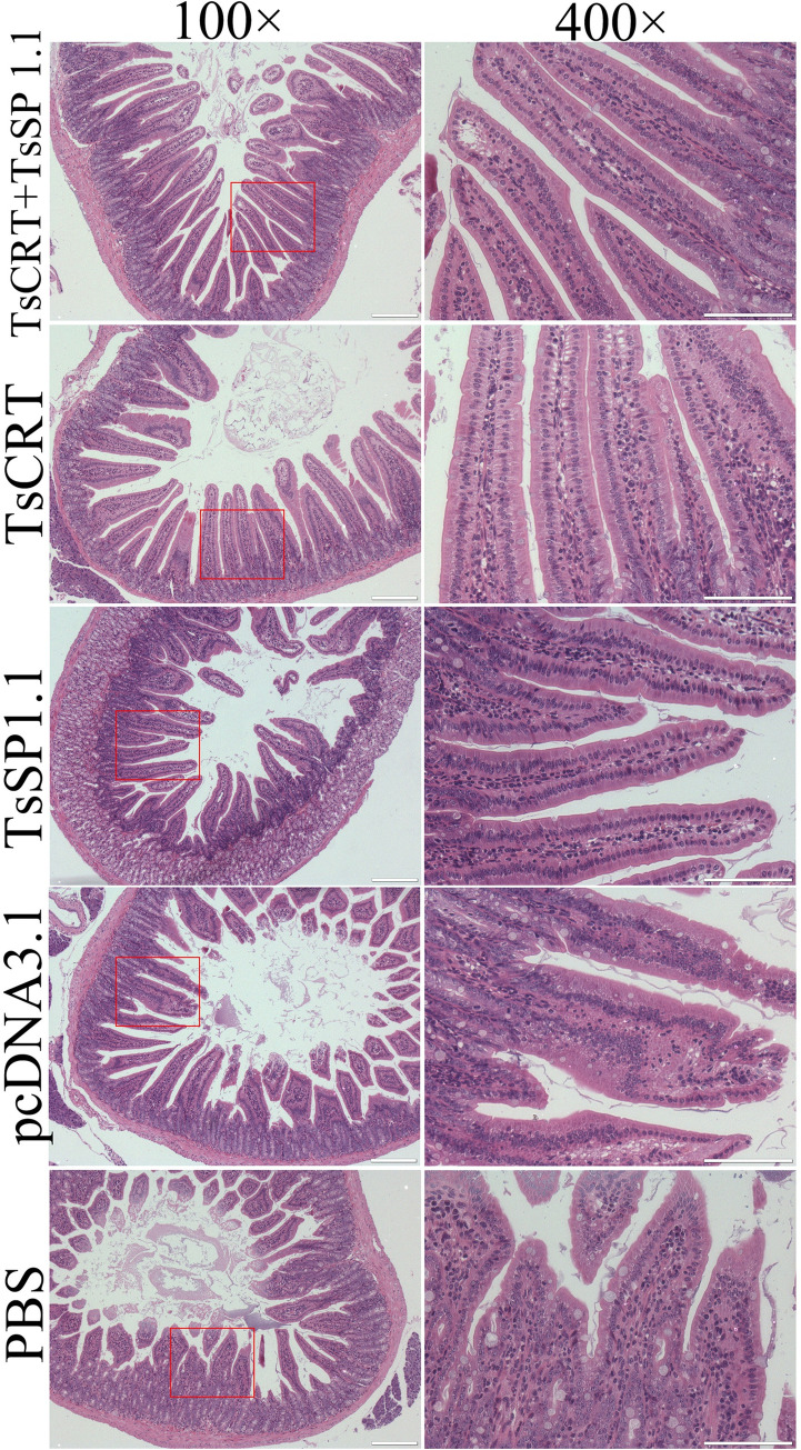 Fig 12