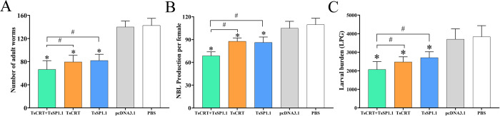 Fig 10