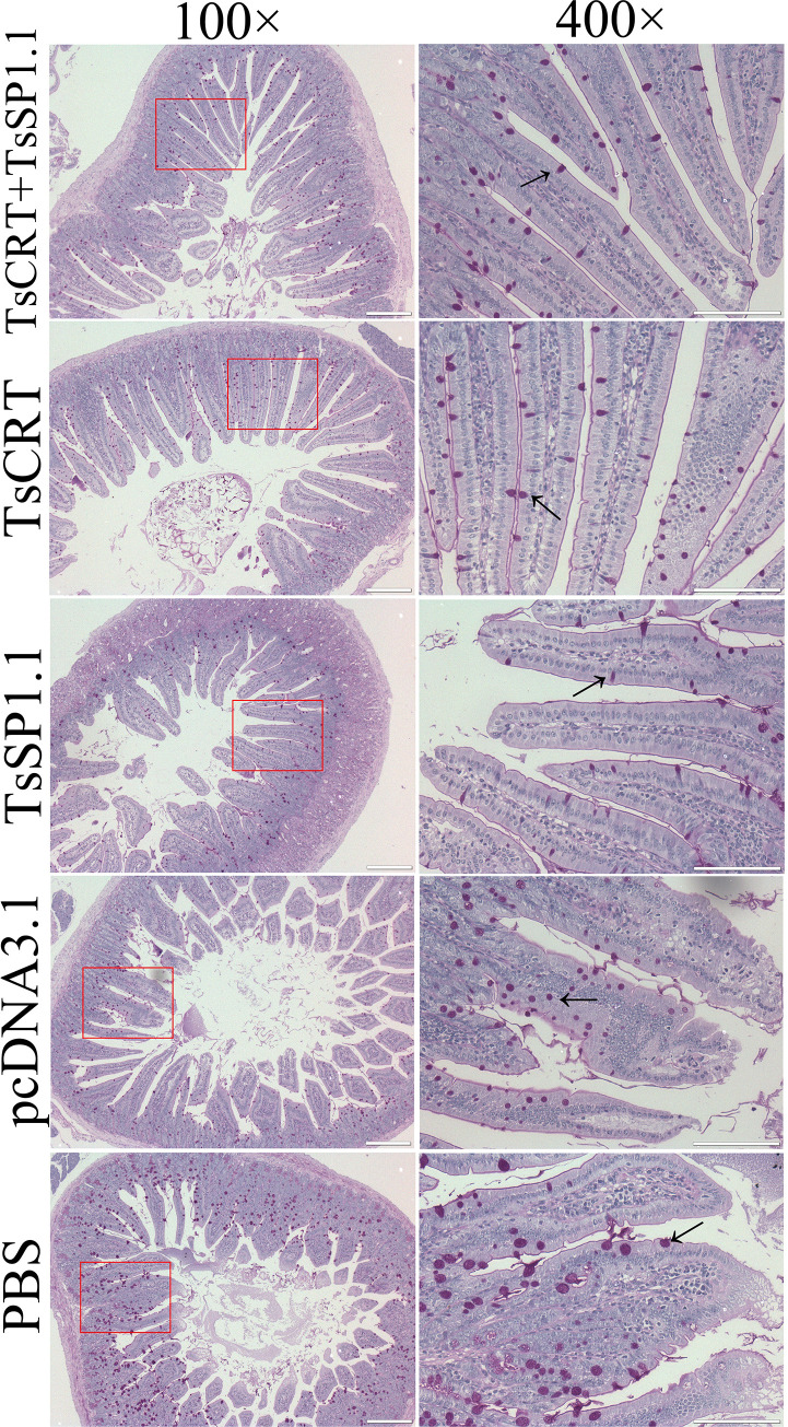 Fig 13