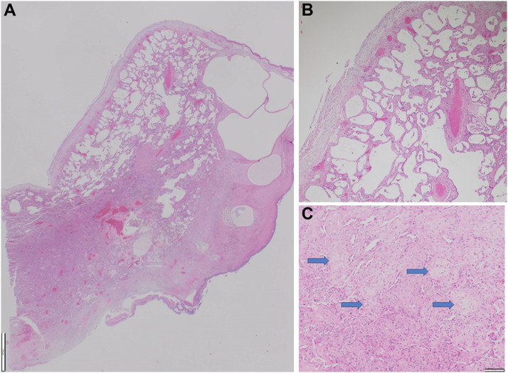 Figure 5