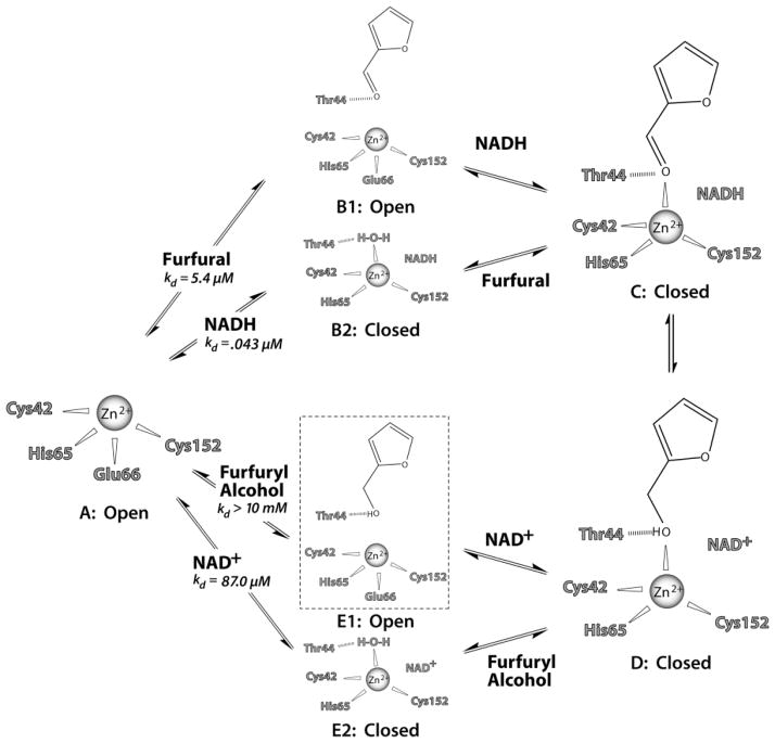 Fig. 5