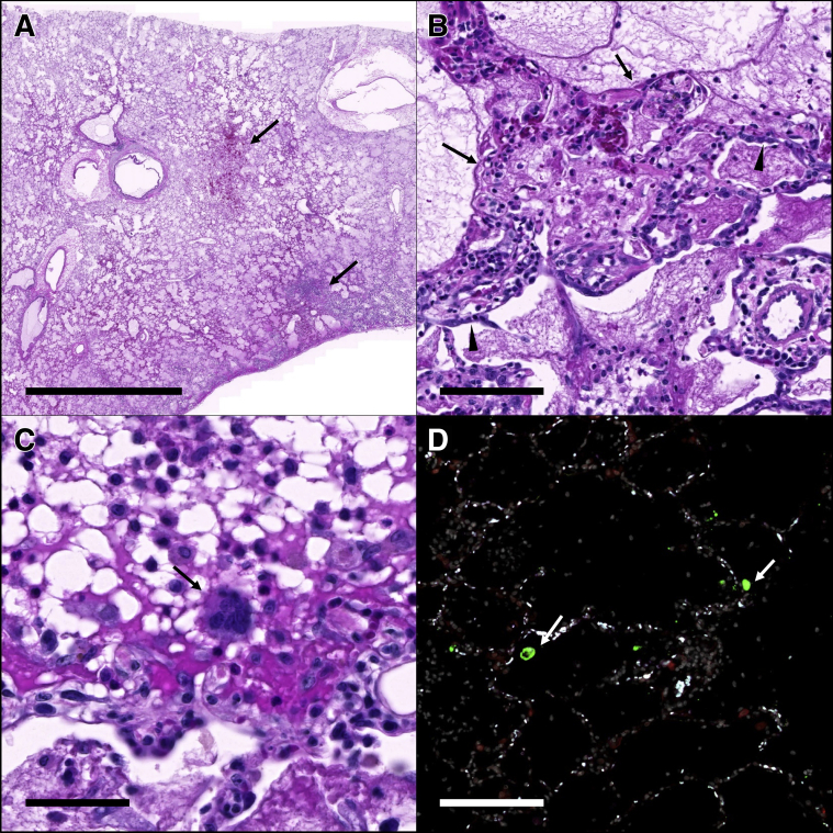 Figure 3