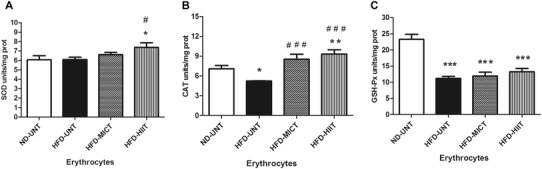 Fig. 2 