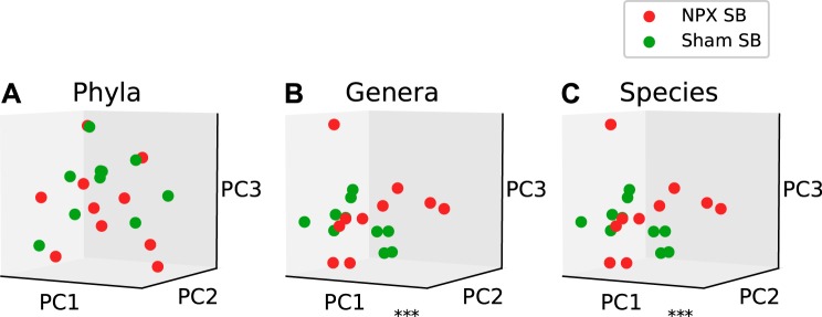 Fig. 11.