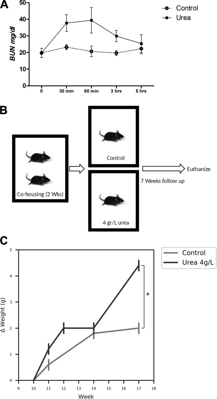 Fig. 16.