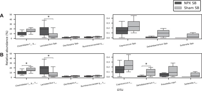 Fig. 12.