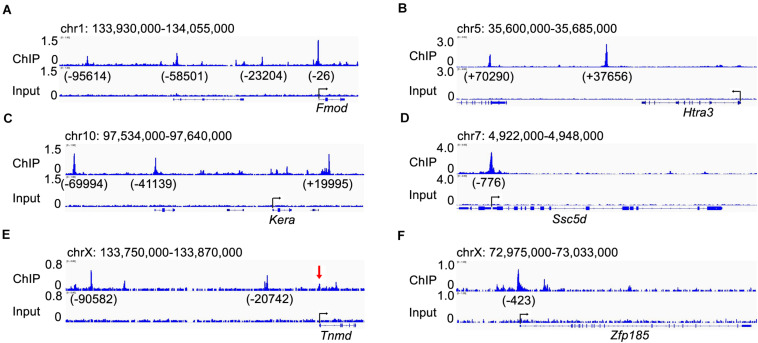 FIGURE 6