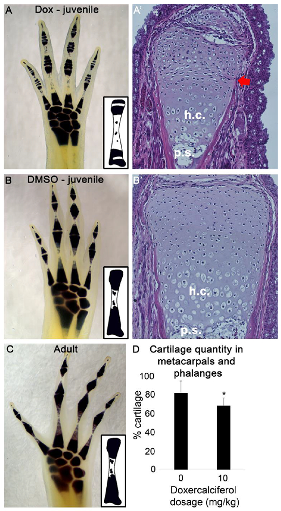 Figure 5: