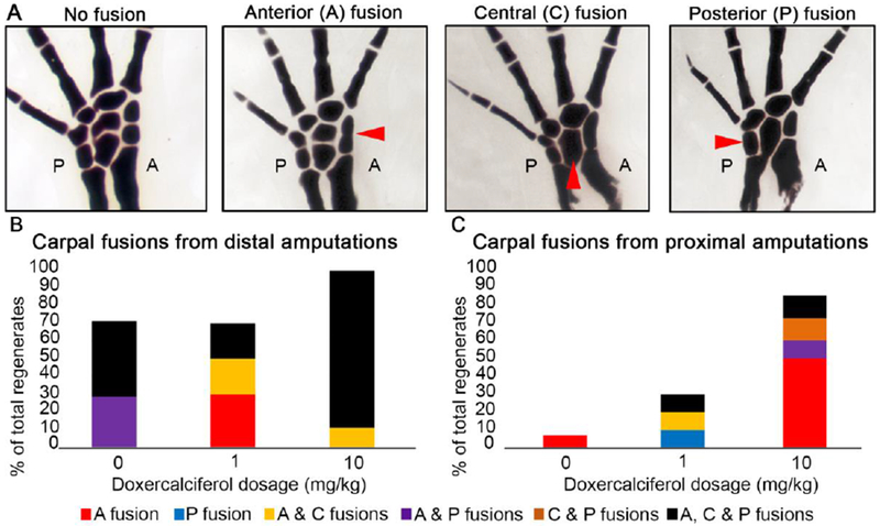 Figure 2: