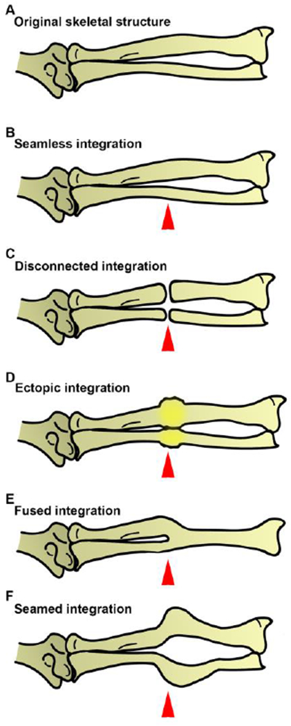 Figure 7: