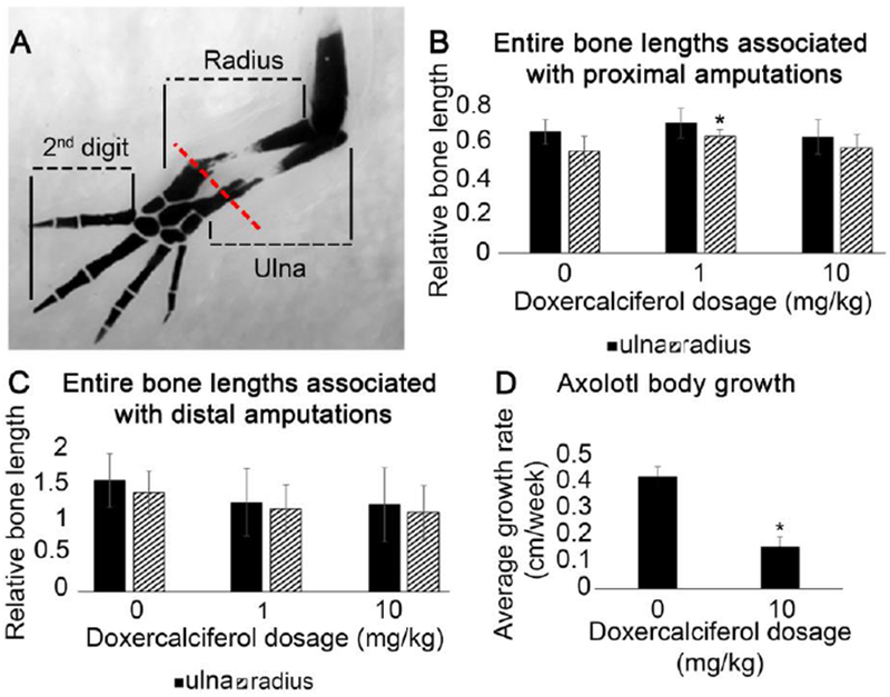 Figure 3: