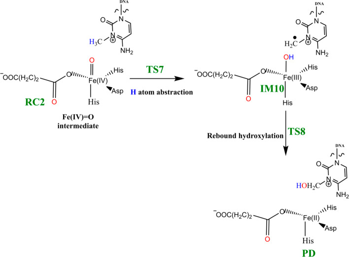 Scheme 4