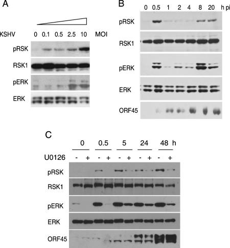 FIG. 6.