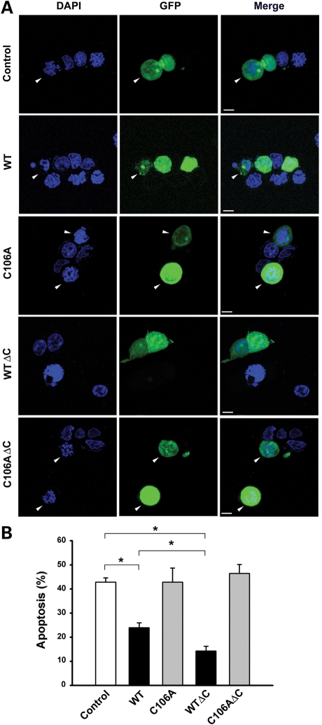 Figure 7.