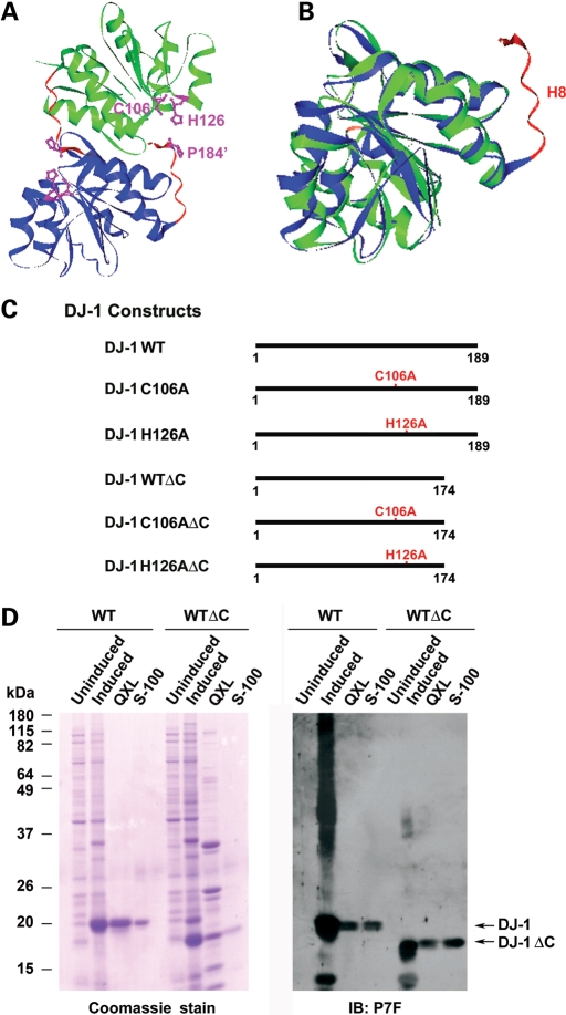 Figure 1.