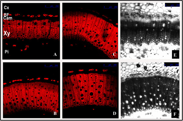 Figure 14