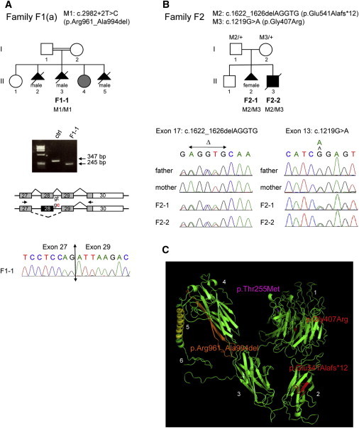 Figure 1